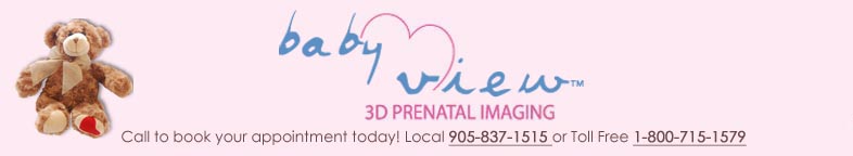 3D Ultrasound Header